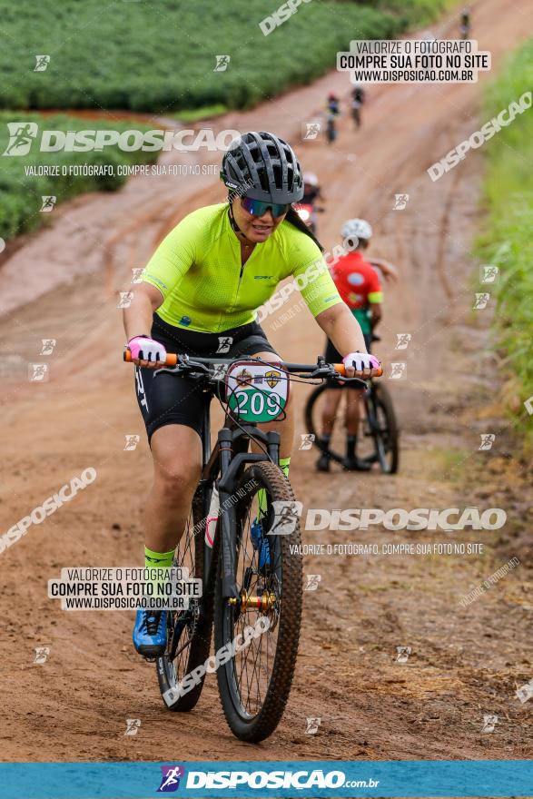 V GP Mandaguaçu de MTB