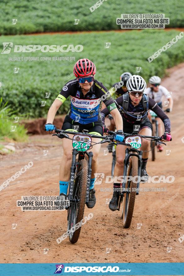 V GP Mandaguaçu de MTB