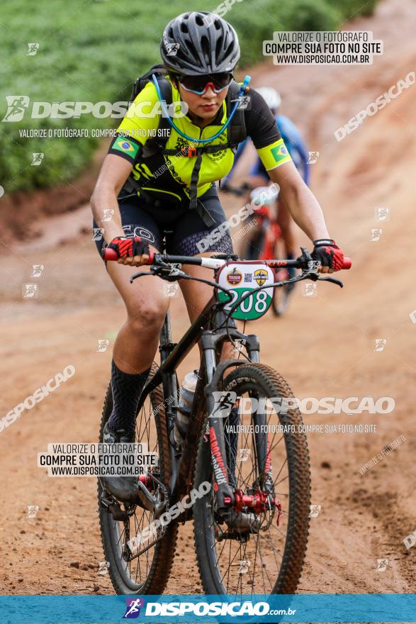 V GP Mandaguaçu de MTB