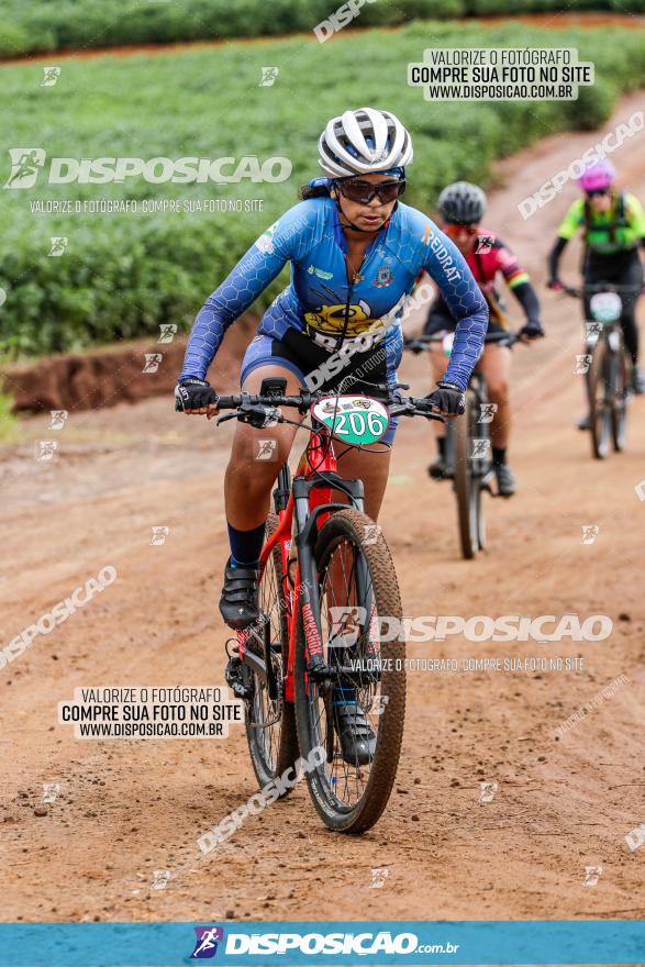 V GP Mandaguaçu de MTB