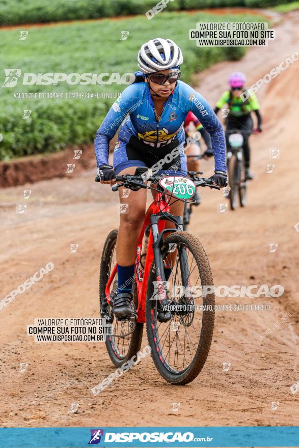 V GP Mandaguaçu de MTB