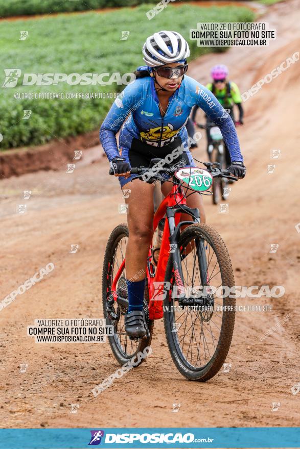 V GP Mandaguaçu de MTB