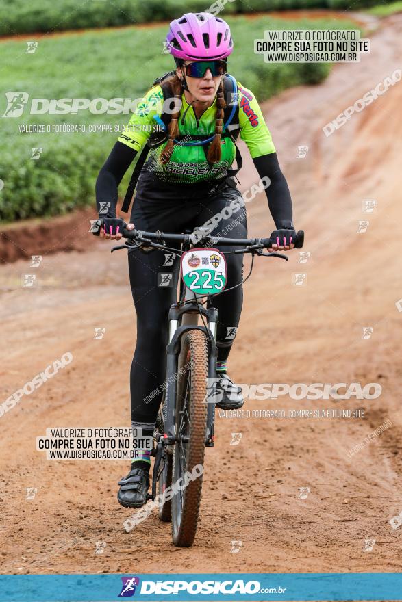 V GP Mandaguaçu de MTB