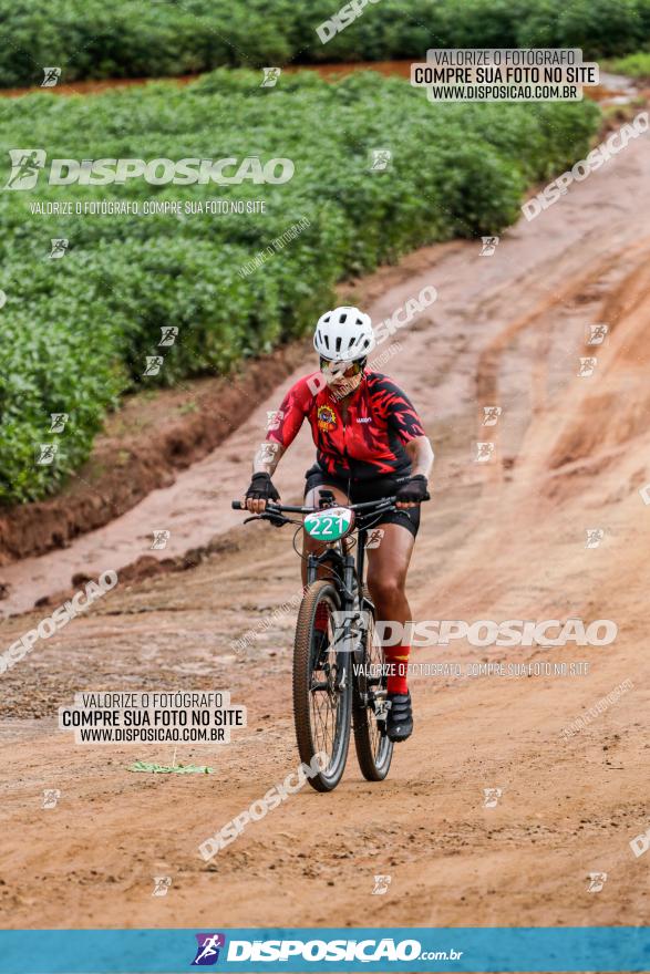 V GP Mandaguaçu de MTB