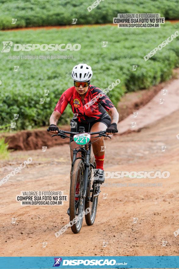 V GP Mandaguaçu de MTB