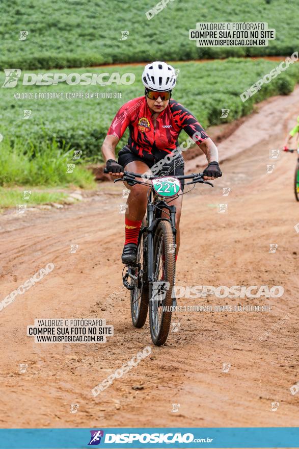 V GP Mandaguaçu de MTB