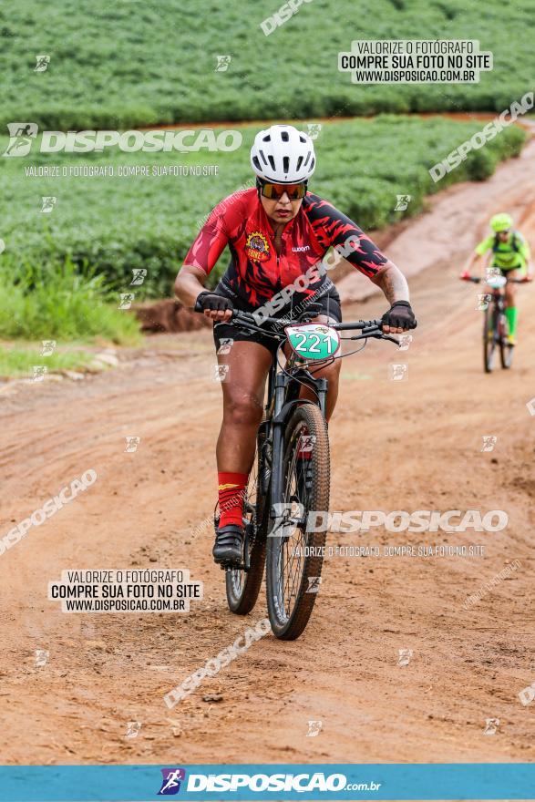 V GP Mandaguaçu de MTB