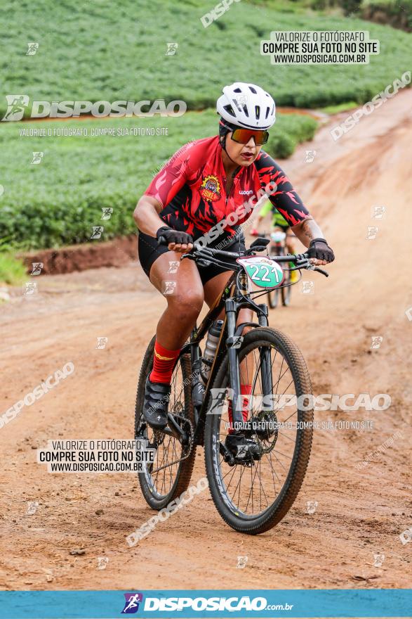 V GP Mandaguaçu de MTB