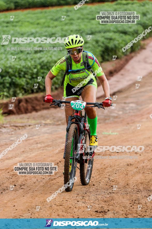 V GP Mandaguaçu de MTB