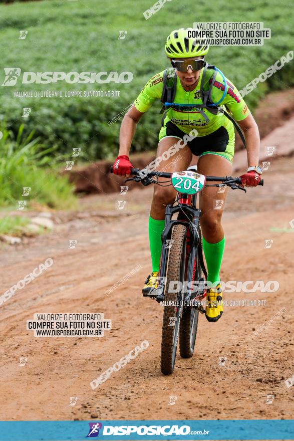 V GP Mandaguaçu de MTB