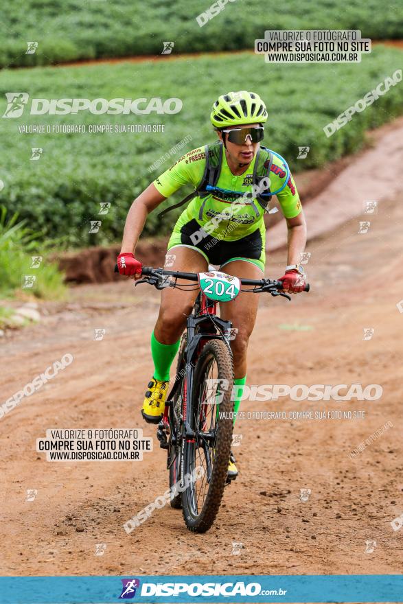 V GP Mandaguaçu de MTB