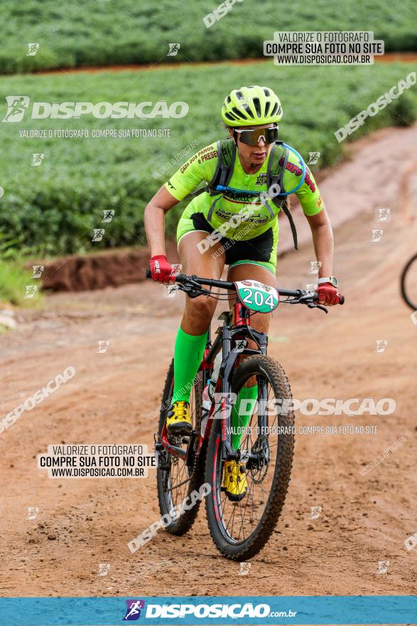 V GP Mandaguaçu de MTB