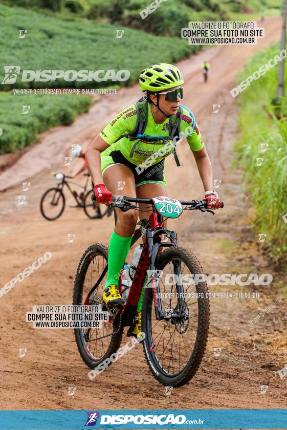 V GP Mandaguaçu de MTB