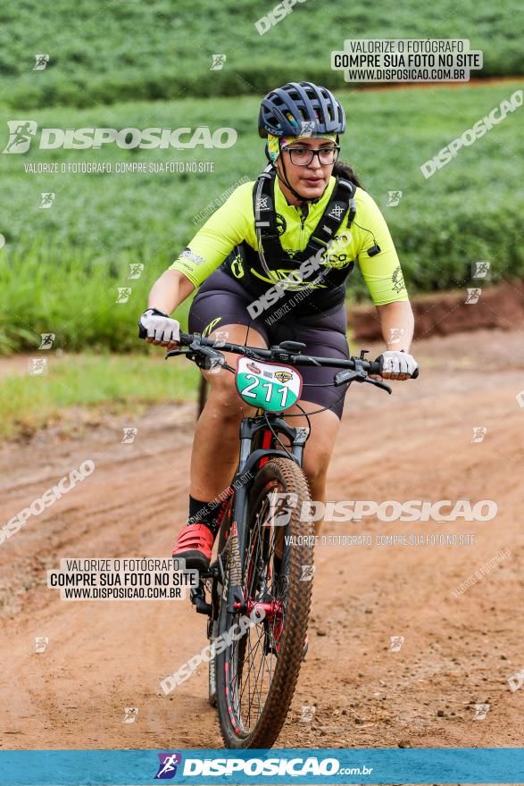 V GP Mandaguaçu de MTB