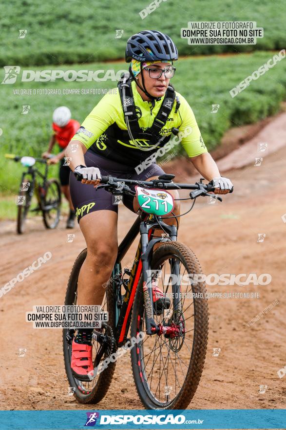 V GP Mandaguaçu de MTB