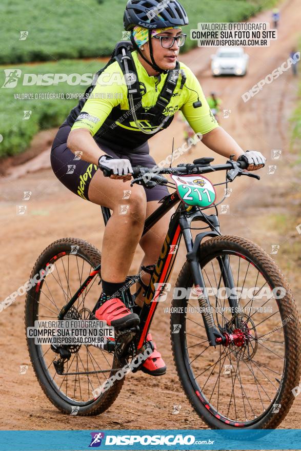 V GP Mandaguaçu de MTB