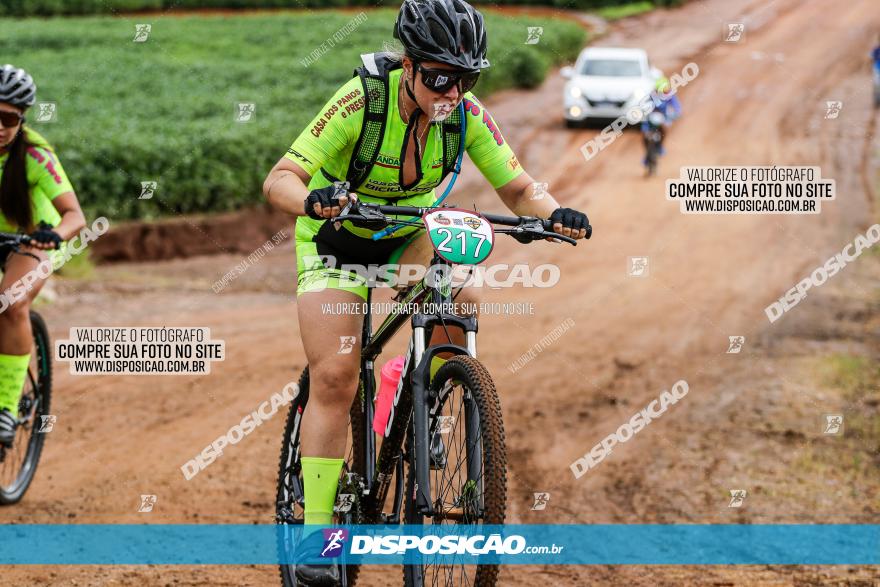 V GP Mandaguaçu de MTB