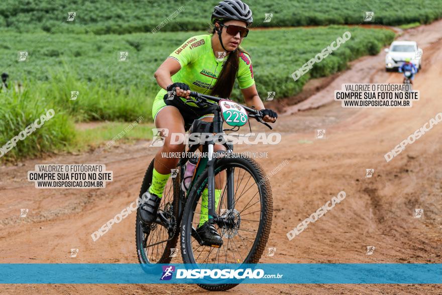 V GP Mandaguaçu de MTB