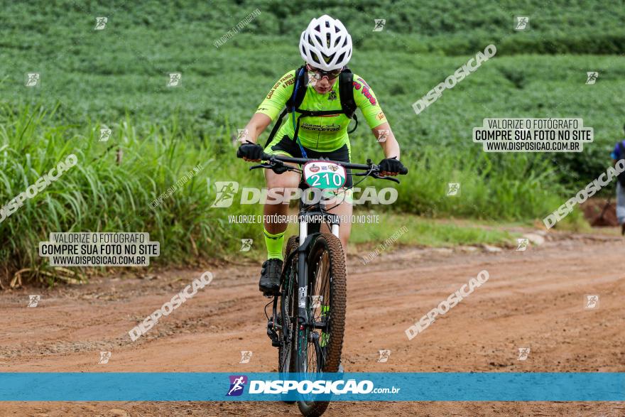 V GP Mandaguaçu de MTB