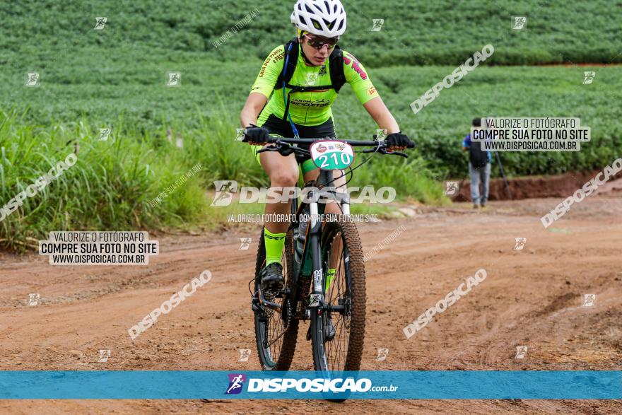 V GP Mandaguaçu de MTB