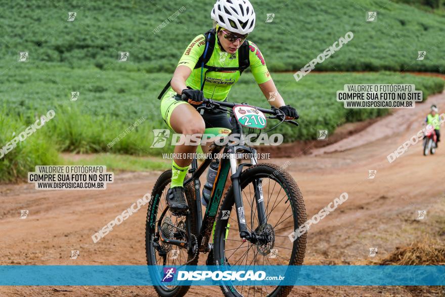 V GP Mandaguaçu de MTB