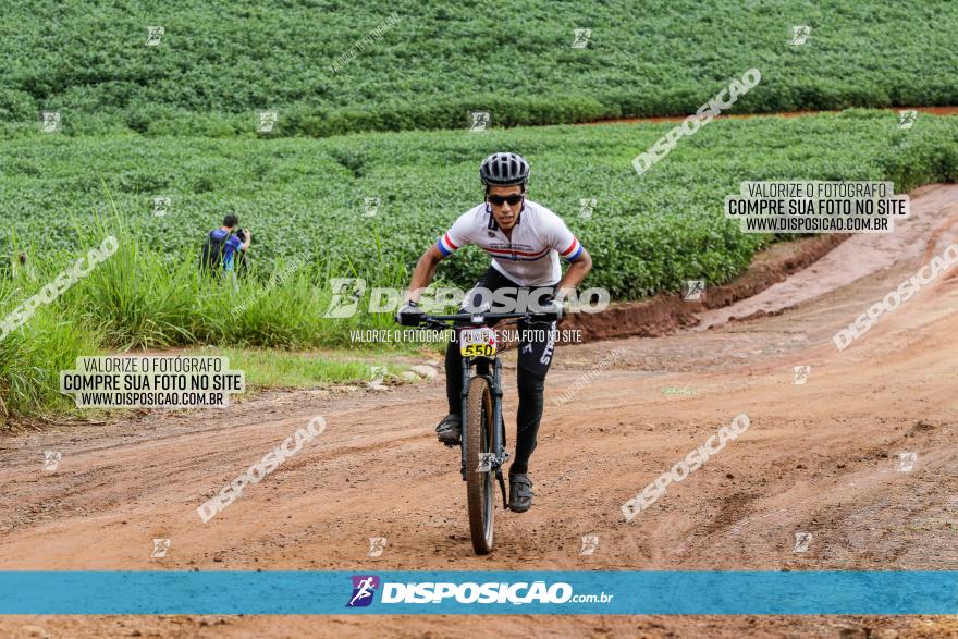 V GP Mandaguaçu de MTB