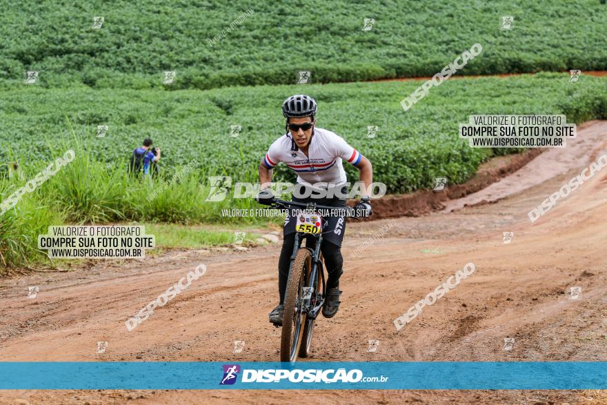 V GP Mandaguaçu de MTB