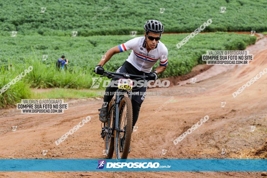 V GP Mandaguaçu de MTB