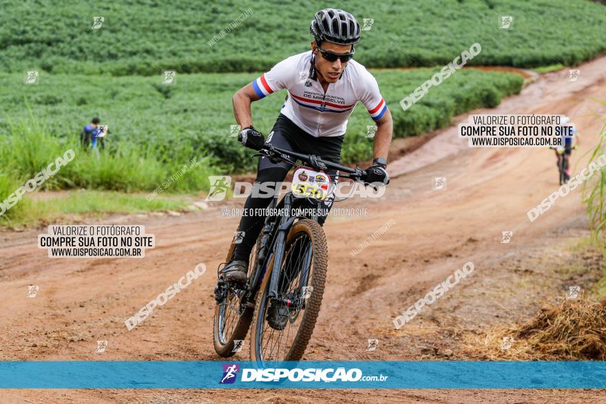 V GP Mandaguaçu de MTB