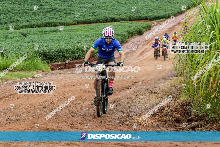 V GP Mandaguaçu de MTB