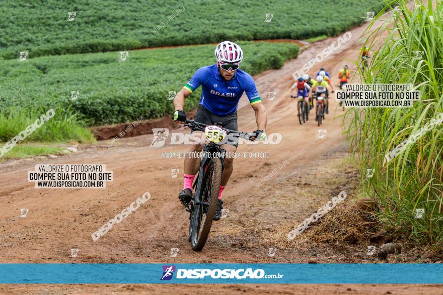 V GP Mandaguaçu de MTB