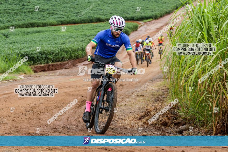 V GP Mandaguaçu de MTB