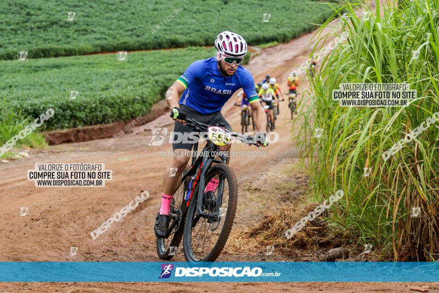 V GP Mandaguaçu de MTB