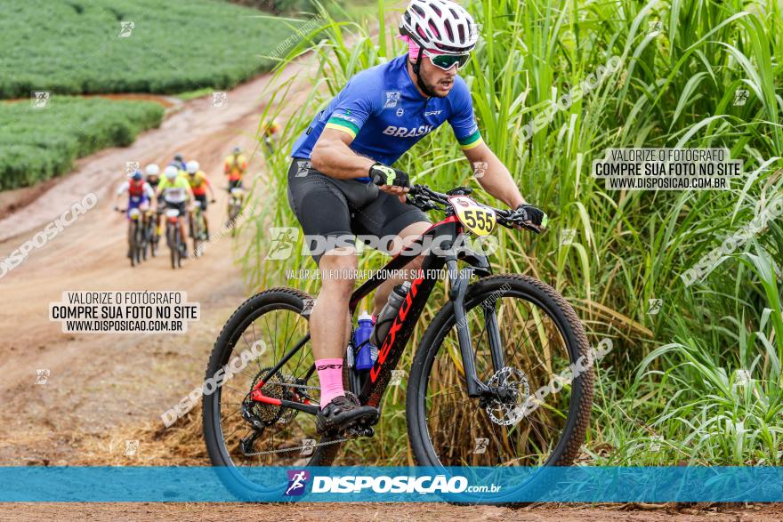 V GP Mandaguaçu de MTB