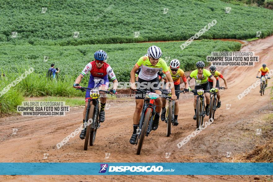 V GP Mandaguaçu de MTB