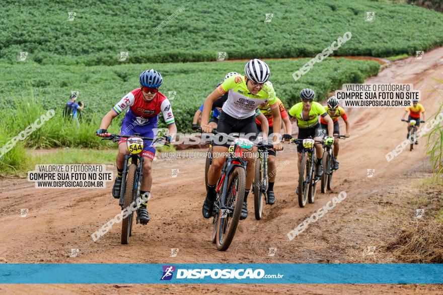 V GP Mandaguaçu de MTB