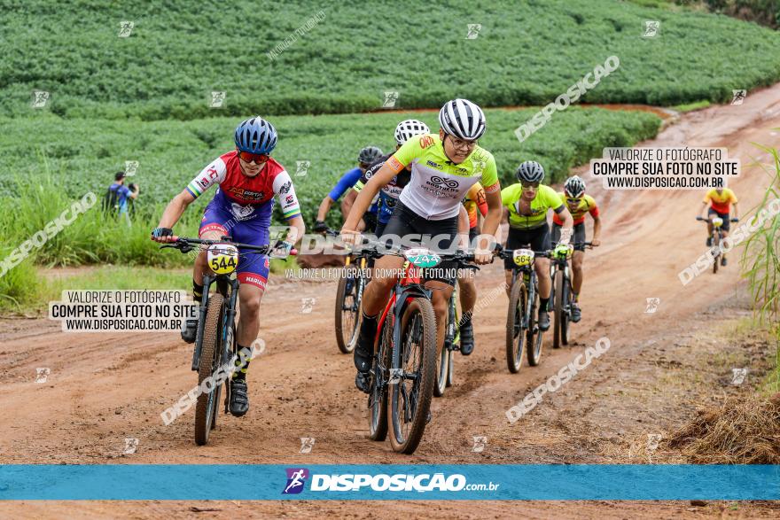 V GP Mandaguaçu de MTB