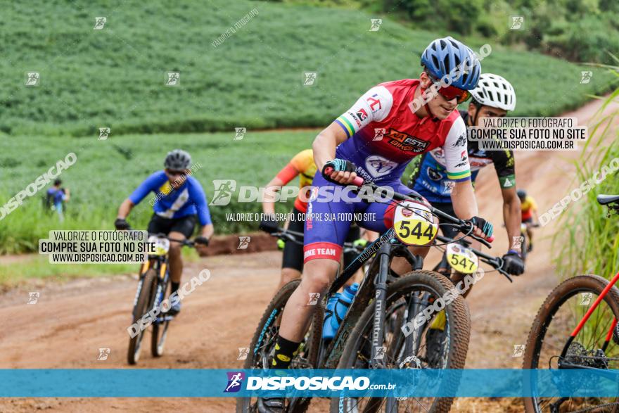 V GP Mandaguaçu de MTB