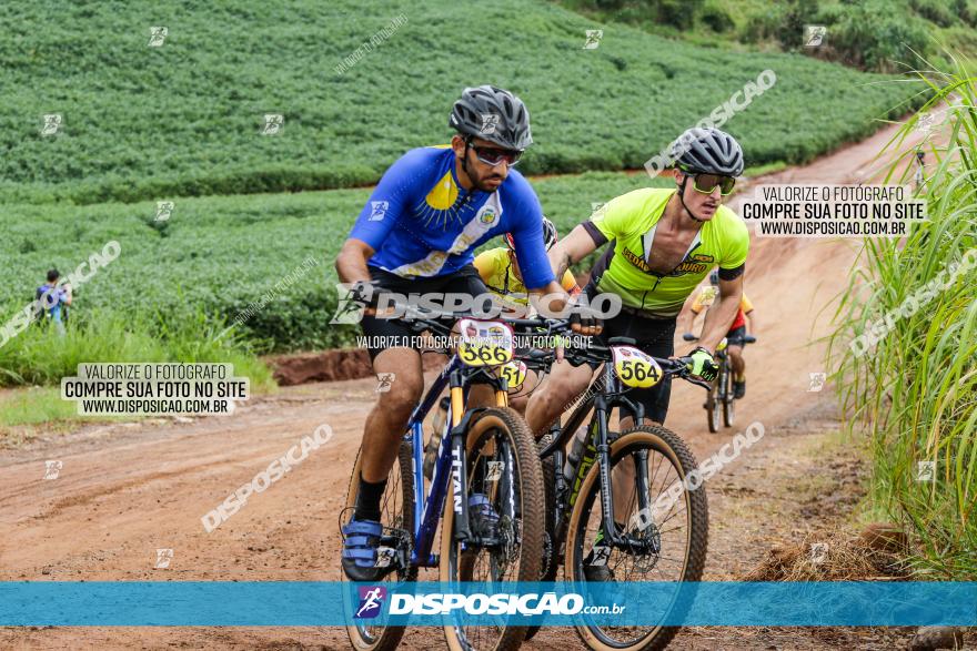 V GP Mandaguaçu de MTB