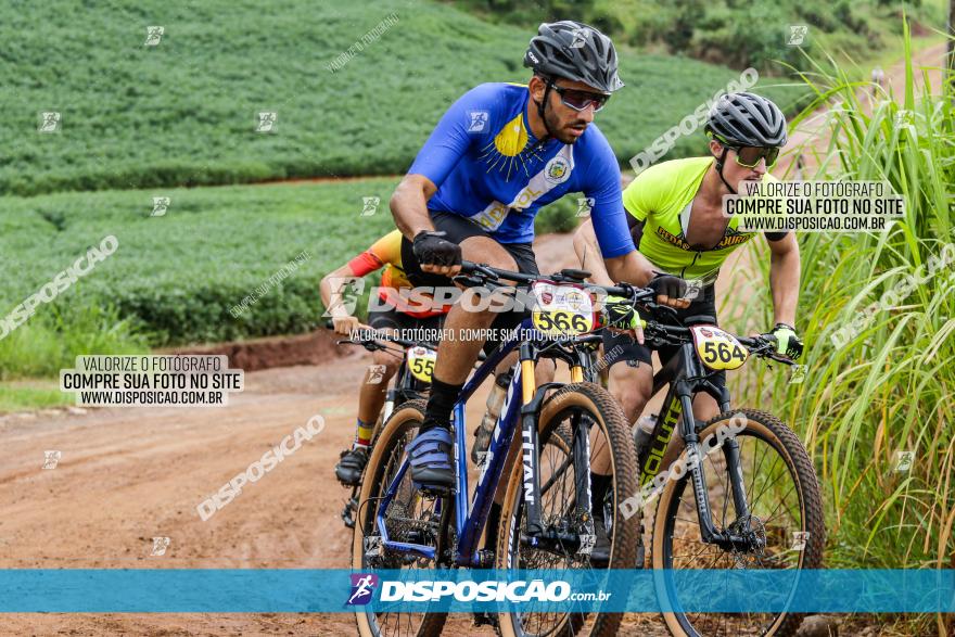 V GP Mandaguaçu de MTB