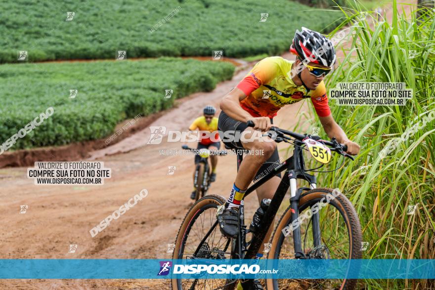 V GP Mandaguaçu de MTB