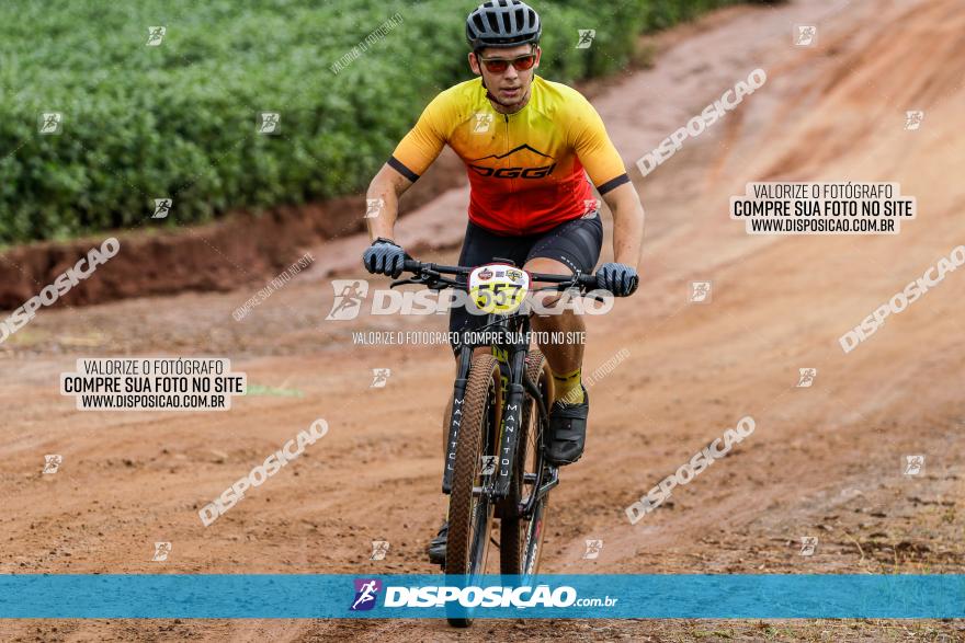 V GP Mandaguaçu de MTB