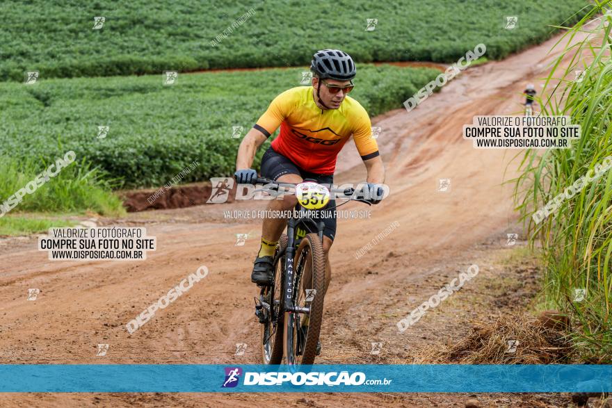 V GP Mandaguaçu de MTB