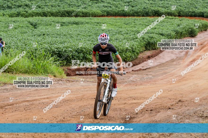 V GP Mandaguaçu de MTB