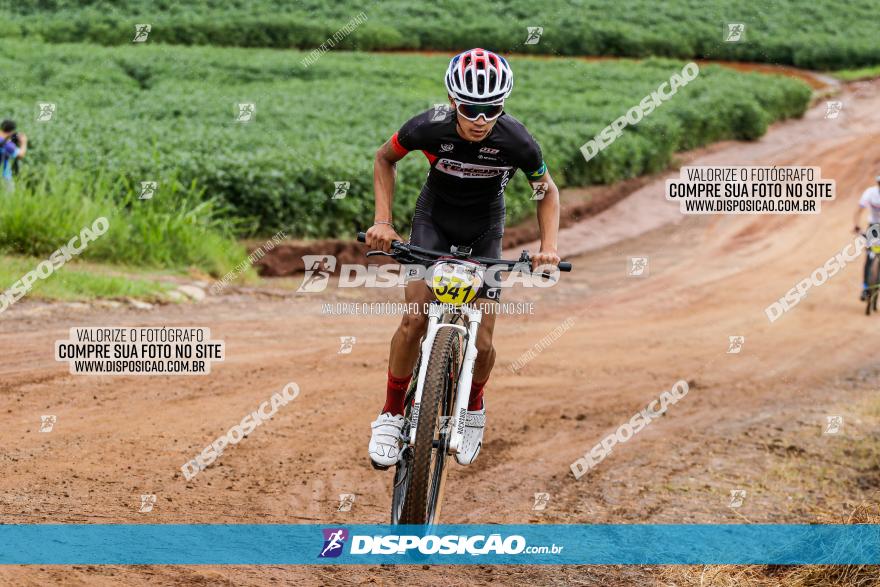 V GP Mandaguaçu de MTB