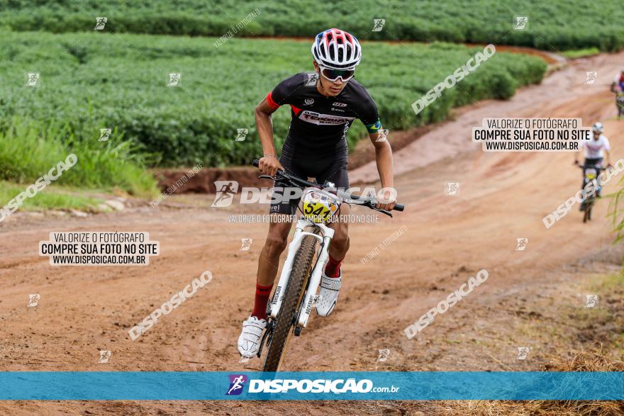 V GP Mandaguaçu de MTB