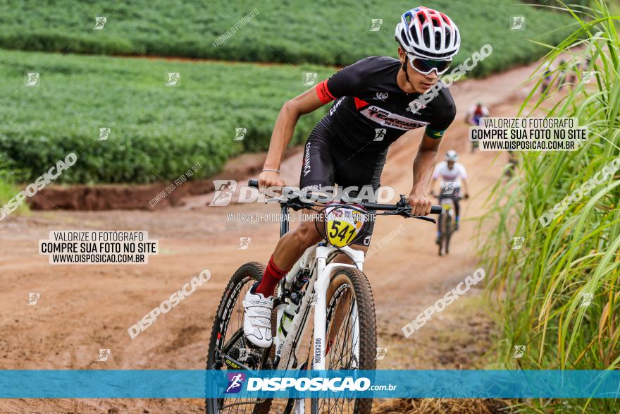 V GP Mandaguaçu de MTB