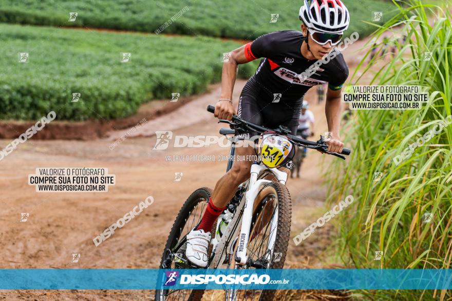 V GP Mandaguaçu de MTB