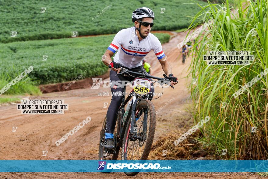 V GP Mandaguaçu de MTB