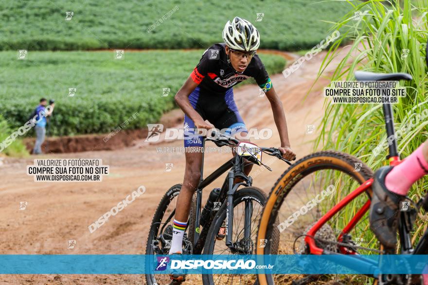 V GP Mandaguaçu de MTB